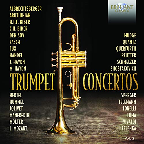 Concerto in D Major, G.24: III. Allegro