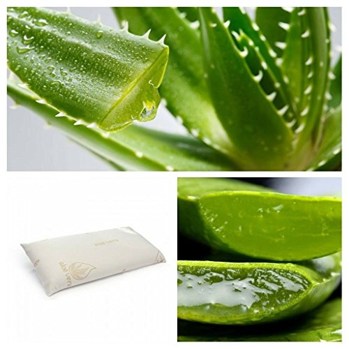 CONFORT HOME M.T. Almohada Visco-elástica Aloe Vera 100% (Mini 42 x 25 Cm (Viaje))