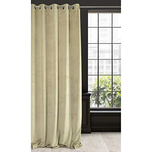 EUROFIRANY Velvet - Cortina de terciopelo (lisa, con ojales metálicos, 300 g/m², 140 x 250 cm), color beige Opaco, suave, mullido, moderno, clásico, salón, dormitorio