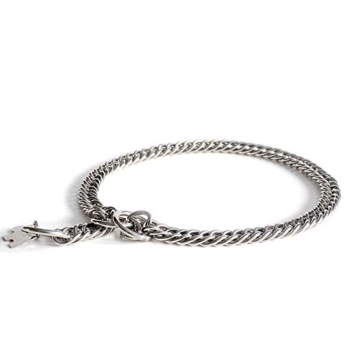 Gulunmun 2,8 mm de diámetro, Acero de Plata Fuerte, Cromo, Metal, Choke de Entrenamiento, Collar Cadena de Perros, Collares, 68 cm * 2.8 mm