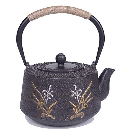 JJZXT Teapot- Tetera de Hierro Fundido con Acero Inoxidable Filtro for té Negro como Regalo, Hervidor Saludable