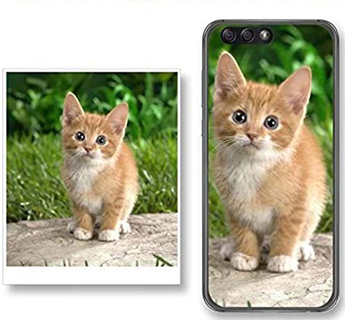 Personaliza tu Funda Gel con tu Fotografia para iPhone XR Dibujo Personalizada