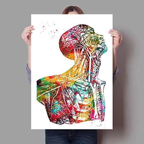 REDWPQ Anatomía Humana Sistema Muscular Lámina Acuarela Figura Humana Pintura Educación médica Oficina Imagen Carteles Lienzo Pintura 30Cmx42Cm A3 Sin Marco