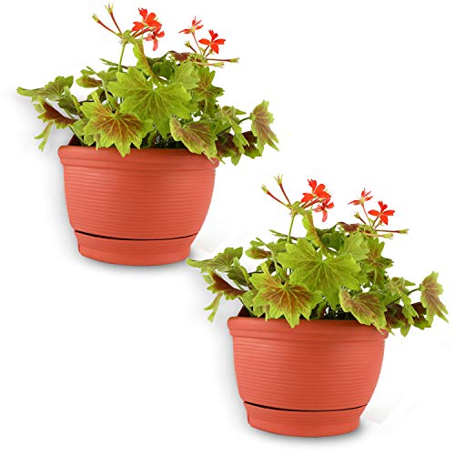 T4U Macetas de Plástico para Colgar en la Pared para Uso en Exteriores - 15CM Terracota Conjunto de 2, Pequeña Cesta de Plantas de Flores Montada en la Pared con Riego Automático