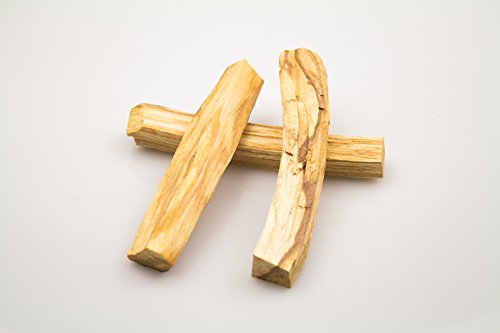 30 gramo (2-4 listón) Palo Santo - extra grande y altamente resinosa - Aprox. 10 gramos/10 cm de longitud! 1 cm de diámetro por listón!