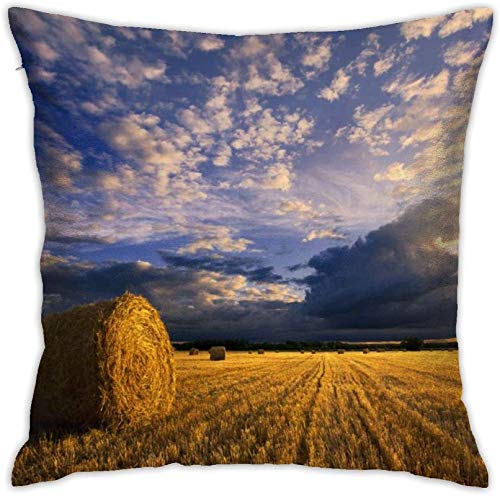 BONRI Funda de Almohada Decorativa de cojín de Cintura Cuadrada de Campo para sofá es 18×18pulgada