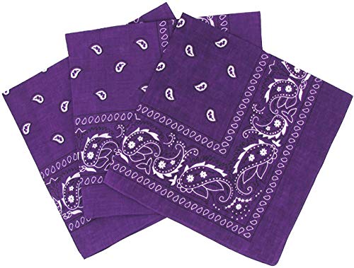 Carnavalife Pañuelos Bandanas Paisley de Algodón 55x55cm