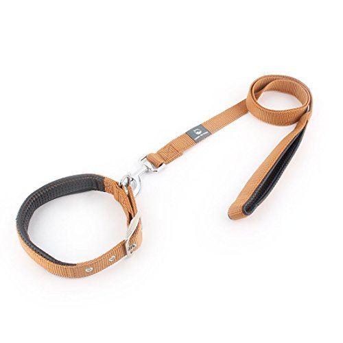 DealMux Perro de Perrito del Animal doméstico Espuma Collar del Cuello de la Correa de Capacitación Caminar Cuerda del Plomo del Correo