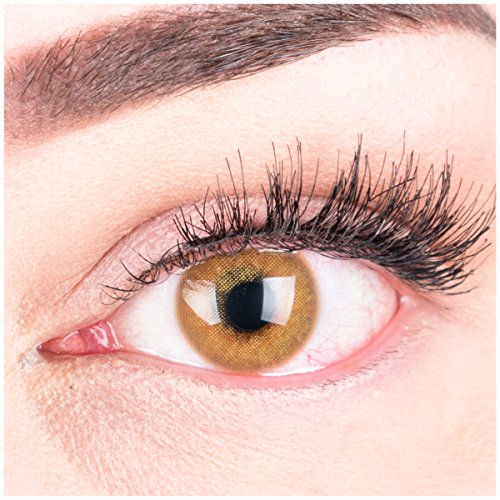 GLAMLENS lentillas de colores marrones Jasmine Brown + contenedor. 1 par (2 piezas) - 90 Días - Sin Graduación - 0.00 dioptrías - blandos - Lentes de contacto marrón de hidrogel de silicona