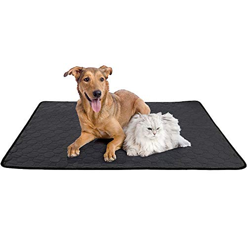 jghcsz Alfombra educativa para Perro de adiestramiento Lavable Alfombra educativa Absorbente Reutilizable con Base Impermeable y Antideslizante para Interior, Exterior, Coche y Viajes M