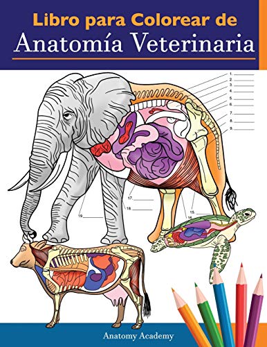 Libro para colorear de anatomía veterinaria: Libro de trabajo para colorear de autoevaluación de fisiología animal para estudiar y relajarse | Un ... estudiantes veterinarios e incluso adultos