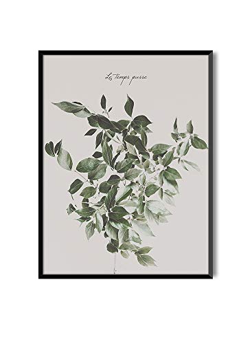 MILUKA Láminas Decorativas para enmarcar colección FEUILLES (láminas Hojas Verdes) | Varios Tamaños - Le Temps Passe (50 x 70 cm)