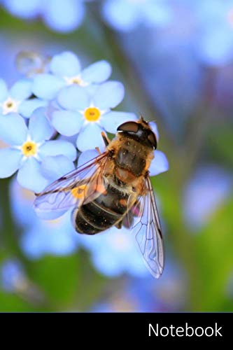 Notebook: Bee Schwebfliegen, Fliegen, Bloom, Natur Notizbuch / persönliches Tagebuch / Schreibheft / Logbuch / Planer / Vokabelheft / Notizen - 6 x 9 ... Seiten mit Datumslinie, glänzendes Cover.