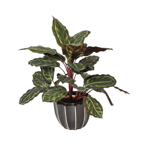 Planta artificial galatea cebra 49 cm altura, Catral 74010016