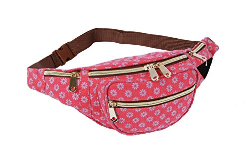 Quenchy London QL415M - Riñonera de viaje en lona, 5 bolsillos con cremallera, para contornos de cintura de hasta 120 cm, ideal para festivales y vacaciones, Flor de pared rosa (Rosa) - QL4155P