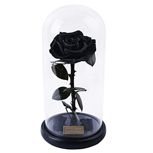 Rosa Eterna Flores Artificiales Decoracion - Conservado en Vidrio Jarron Flores, Lujosa Cúpula de Vidrio con Base de Madera y Caja de Regalo Exquisita, Regalo Cumpleaños Aniversario Bodas San Valentín