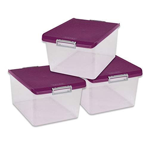 TATAY 1150020 Lote 3 Cajas Multiusos 35 Litros Medidas 48 x 38 x 26 cm Color Morado