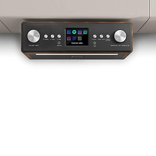 auna Connect Soundchef - Radio de Cocina, Radio Internet, Empotrable, Wi-Fi, Dab, Dab+, FM, RDS, Poderosa, Luz integrada, Alarma, Mando a Distancia, Ecualizador, Pantalla TFT, Blanco