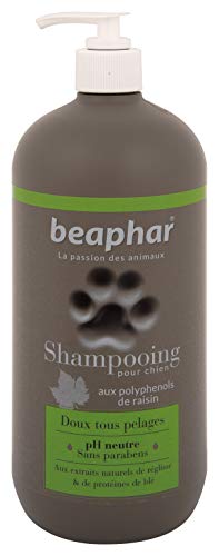 Beaphar Champú Alta Cosmética Perros Todo Tipo de Pelo, Un tamaño 750 ml 750 ml