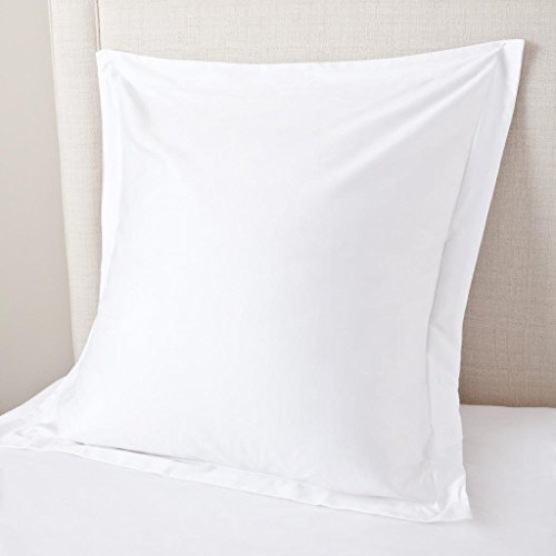 Comfort Beddings Export - Fundas de almohada (450 hilos, 100% algodón egipcio, 2 unidades, color blanco (continental/cuadrado, tamaño 65 x 65 cm)