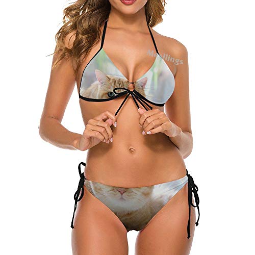 Conjunto de bikini triangular de dos piezas, color naranja y gatito tirado cerca de la ventana, traje de baño sexy Multicolor multicolor S