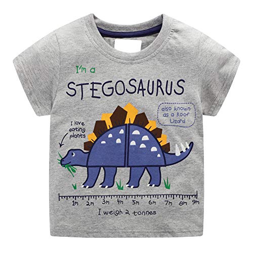 FILOWA Niño Camiseta Manga Corta Algodon Camisetas Elegante Verano Casual Dibujos Gris Dinosaurio Ropa Chico Sudadera Deporte Cuello Redondo Chandal Colegio 1 2 3 4 5 6 7 Años