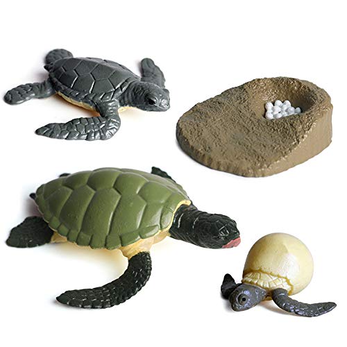 ISAKEN Juguete de Figuras de Animales de Ciclo de Vida, Ciclo de Vida para Rana, la mariposa, Tortuga Marina, Pollo, Modelo de Animal de Simulación Juguetes Educativos para Niños