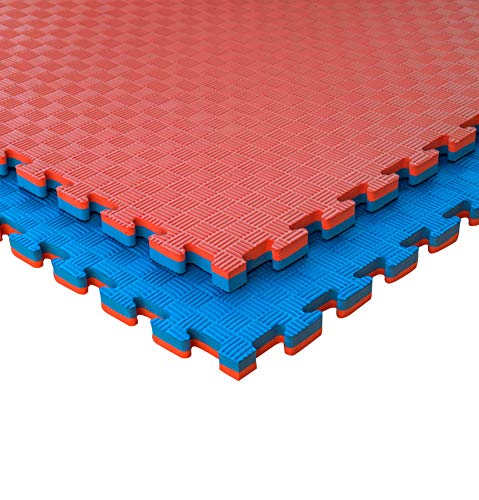 JOWY Lote 10 Unidades Esterilla Goma Espuma Tatami Puzzle | Suelo para Gimnasio Ideal Artes Marciales 1m x 1m x 2 cm Rojo/Azul en Acabado de 5 líneas