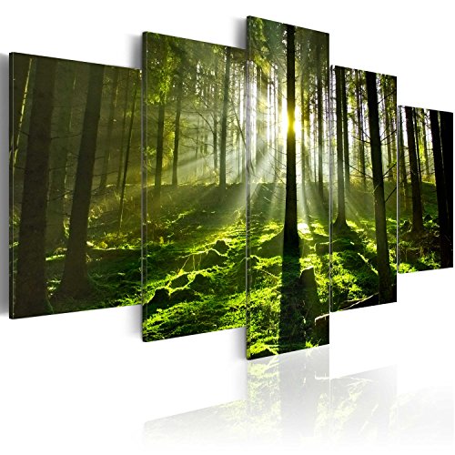 murando Cuadro Acústico Paisaje Bosque Forestal 200x100 cm XXL Impresión Artística 5 Piezas Lienzo de Tejido no Tejido Estampado Decoración de Pared Aislamiento Absorción de Sonidos Imagen 030213-32