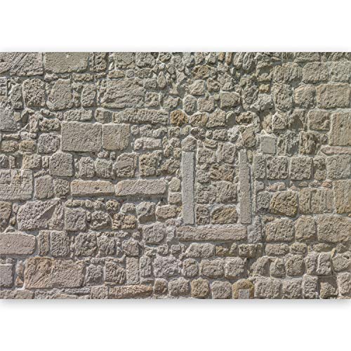 murando® Fotomural 500x280 cm - Top - Papel tejido-no tejido. Fotomurales - XXL -Papel pintado - Piedra Textura Muro f-A-0454-a-a