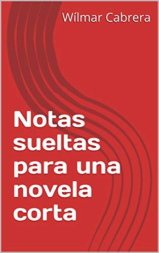 Notas sueltas para una novela corta