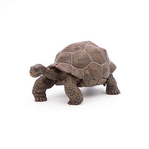 Papo- Figura Tortuga Galapagos 11X6X5,3CM, Multicolor (50161)