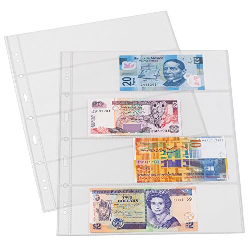 Star Collect (700057 50 fundas transparentes DIN A4 divididas – 4 compartimentos 4 anillas – ideal para billetes