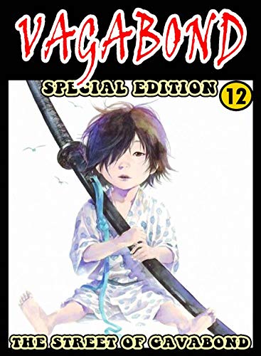 The Street Of Vagabond: Volume 12 - Street Of Vagabond Graphic Novel Action Manga Fantasy (English Edition)