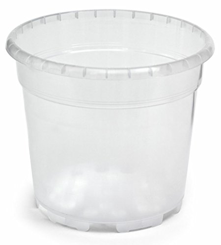 VASO de plástico transparente IDEAL para orquídeas 17 CM diámetro