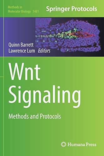 Wnt Signaling: Methods and Protocols: 1481 (Methods in Molecular Biology)