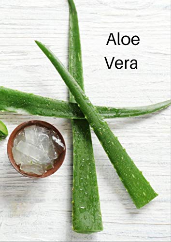 Aloe Vera: Conoce Todo Sobre Este Gran Producto Natural