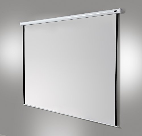 celexon manualmente Extensible Pantalla para Cine en casa y Negocios 4K y Full-HD Enrollable -Pantalla Economy - 305 x 172 cm - 138" - 16:9