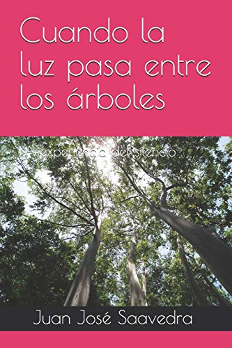 Cuando la luz pasa entre los árboles: LA experiencia del silencio