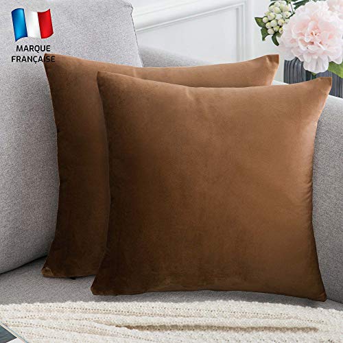 Douceur De Plumes Juego de 2 Fundas de cojín marrón Claro 40x40 Terciopelo Decorativo Liso, Suave y Moderna Funda de Almohada Cuadrada, decoración escandinava Sala, sofá, Dormitorio (2 marrón Claro)