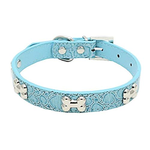 fafagogo2216gogo Correa De Perro Mascota Gato Perro Collar Correa Cocodrilo Hueso Brillante Cuero De Pu Correa Para El Cuello Para Perros Pequeños Medianos Chihuahua Pug Teddy, Cuello Azul Cielo, 2.0C