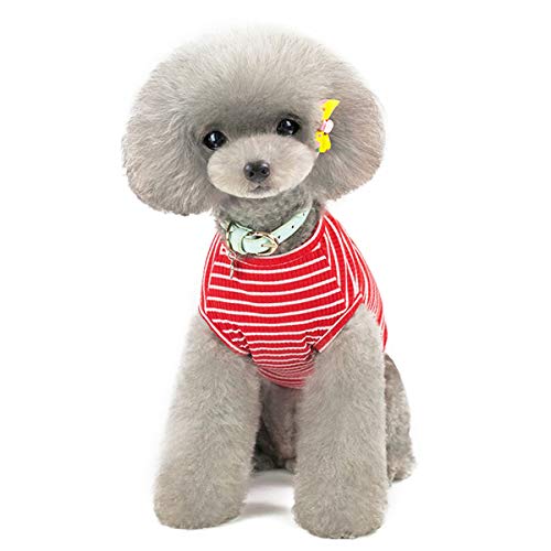 Harfkoko Jersey para Perro o Gato Pequeño/Ropa Cómoda de Punto para Mascotas Suéter de Abrigo para Mascotas Rosa Rojo Azul Gris Hierba - Peso 1,2-9,0 kg