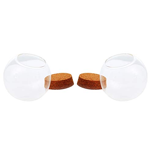 MagiDeal 2pcs Jarrón de Tapa de Recipiente de Terrario con Forma de Bola de Vidrio con Base de Madera, 12 / 15cm