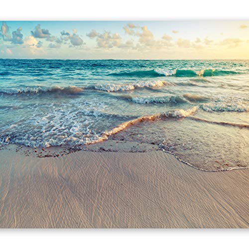 murando Fotomurales Playa Meer 450x315 cm XXL Papel pintado tejido no tejido Decoración de Pared decorativos Murales moderna de Diseno Fotográfico Naturaleza Paisaje c-B-0358-a-a