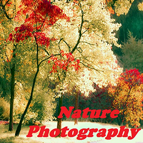 Nature Photography