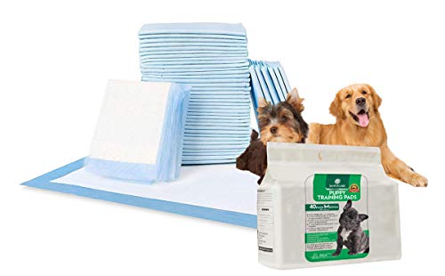 SANTER LABS Empapadores Entrenamiento Perros Mascotas Toallitas Alfombrilla higiénica SuperAbsorvente de 5 Capas Protector de Malos olores Tamaño Regular (58x56 cm) (Unidades, 40 Unidades)