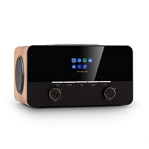 auna Connect 150 SE - Radio Inteligente, Internet con Interfaz WLAN, Compatible con Spotify Connect, Dab/Dab+ y Receptor FM con Entrada RDS y AUX, aplicación UNDOK, Salida RDS, Marrón