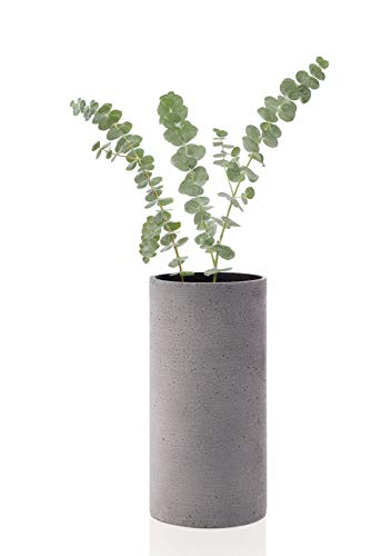 blomus Coluna - Jarrón de hormigón, Color Gris Oscuro, Altura 24 cm, diámetro 12 cm