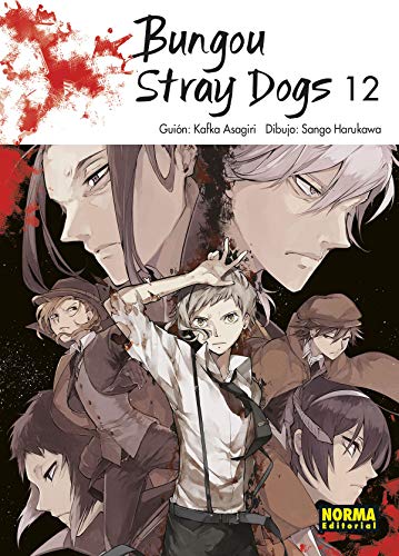 Bungou Stray Dogs 12