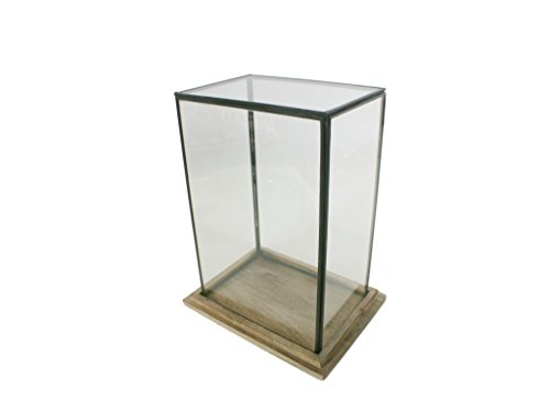 CAL FUSTER - Urna de Cristal Rectangular. Medidas: 33x25x18 cm.